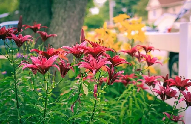 $425,000 | 289 Lyon Lake Road, Marshall, MI 49068