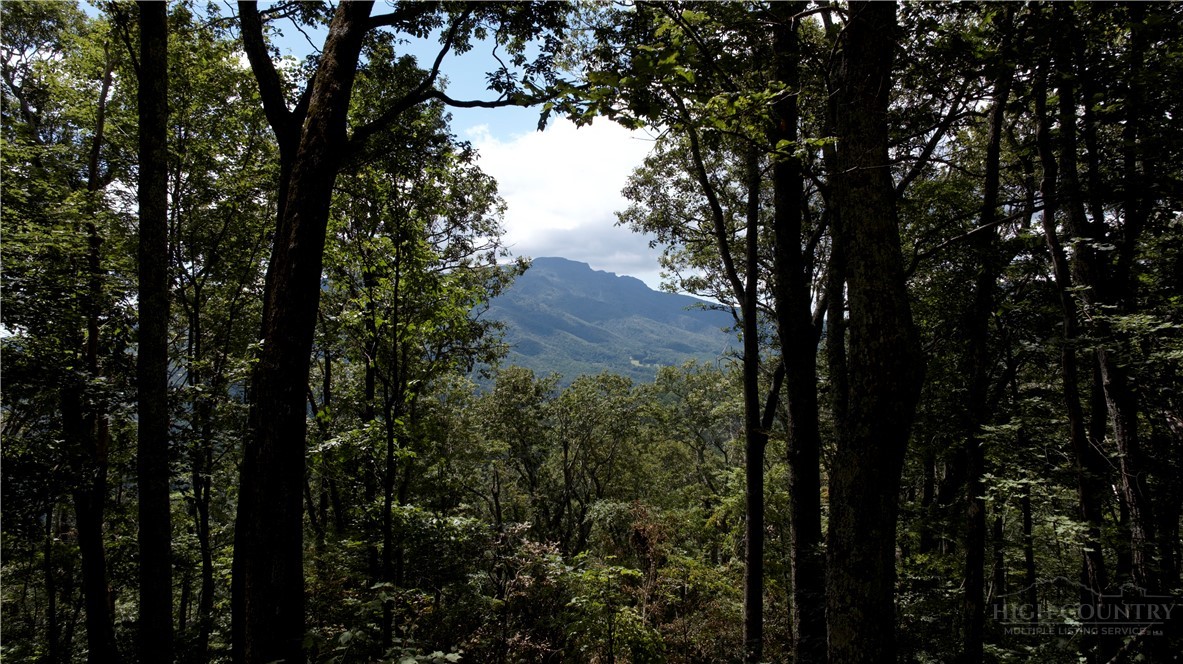 Seven Devils Nc 28604 Banner Elk, NC 28604 - Photo 14 of 15 a view of a city with lush green forest