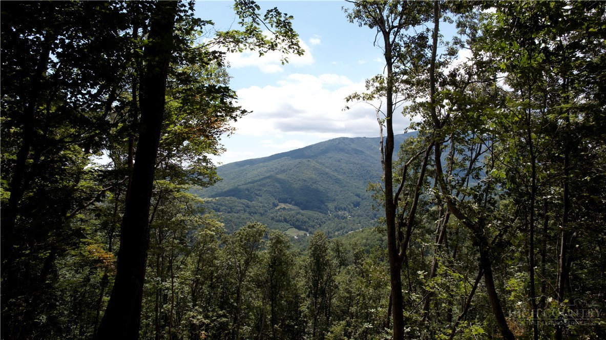 Seven Devils Nc 28604 Banner Elk, NC 28604 - Photo 6 of 15 a view of a forest