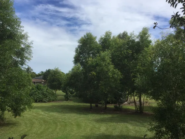 a kitchen with a stove and a sink