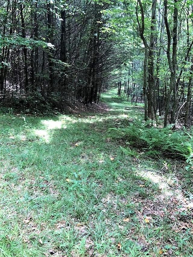 Lot 21 Two Rivers Trail, Unit 21 Independence, VA 24348 - Photo 25 of 27 Gallery Image 25