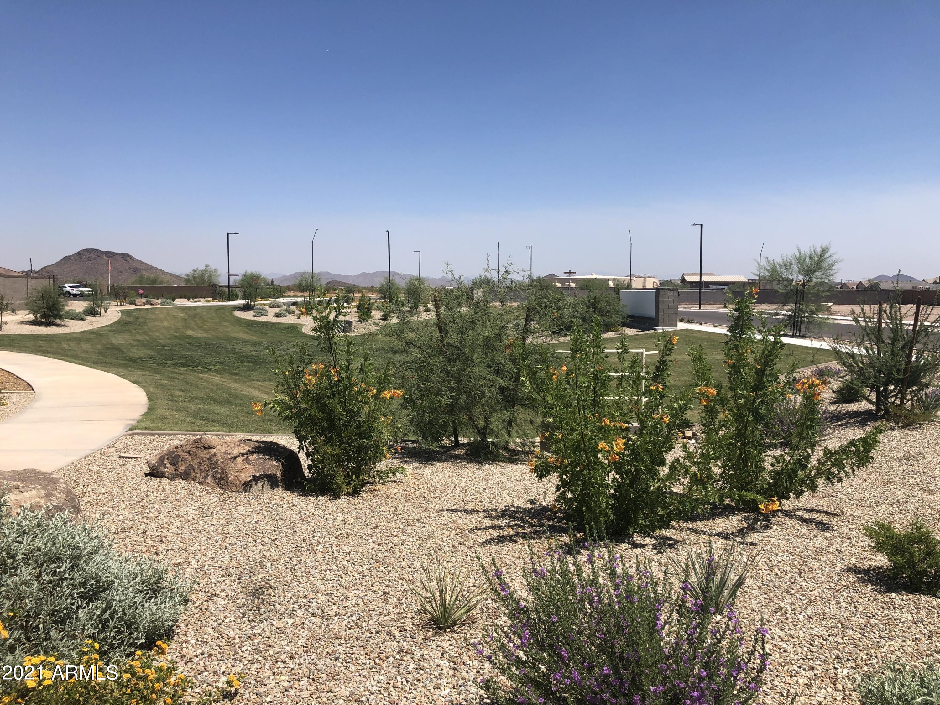 14415 West Alameda Road Surprise, AZ 85387 - Photo 5 of 11 Beautiful Desert Landscaping(2)