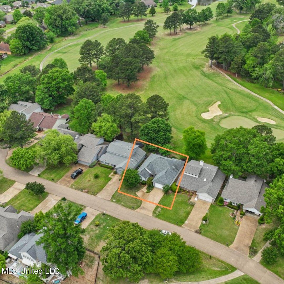 409 Spike Ridge Canton, MS 39046 - Photo 4 of 49 Untitled design