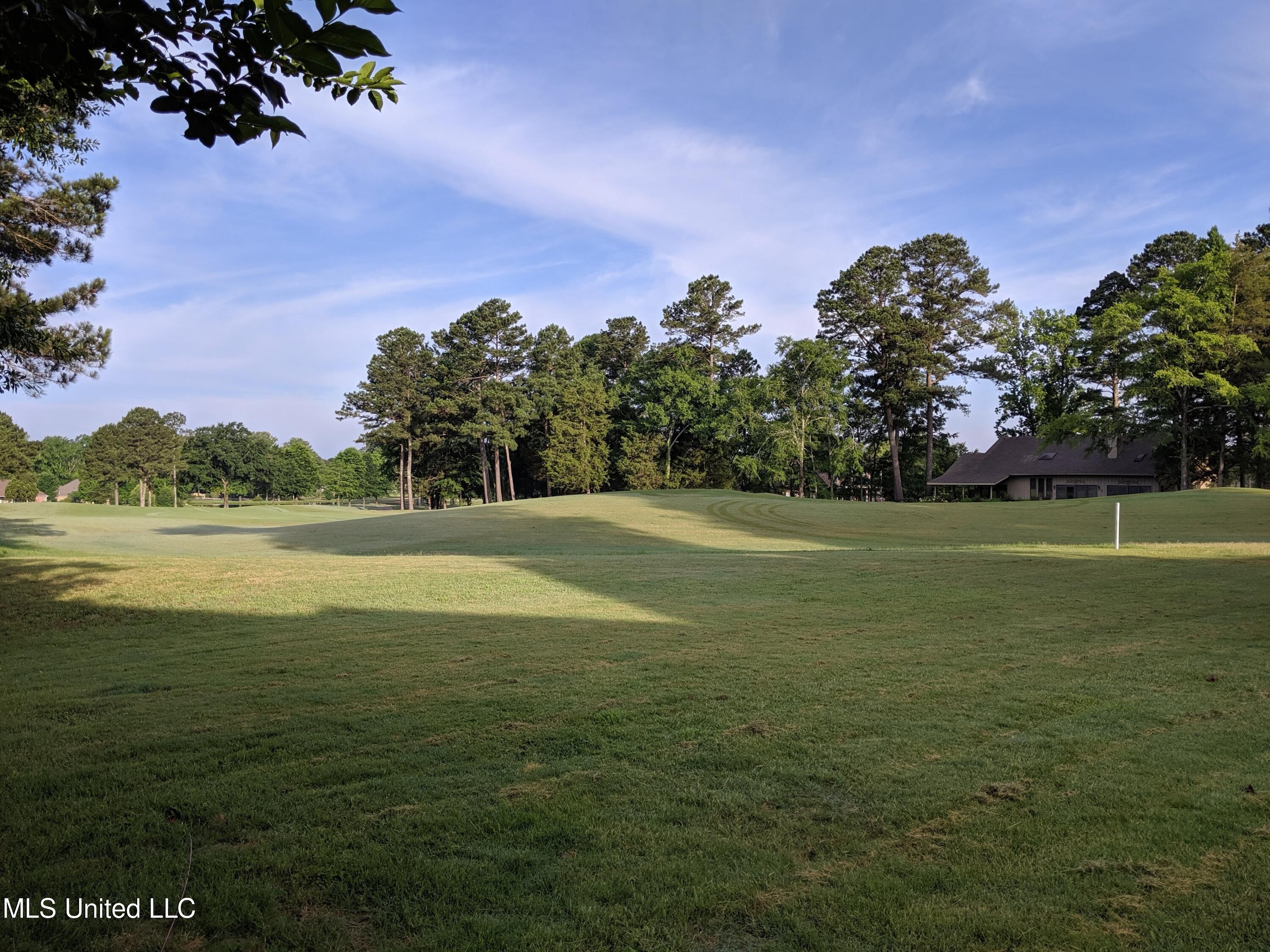 409 Spike Ridge Canton, MS 39046 - Photo 43 of 49 IMG_20190527_072103