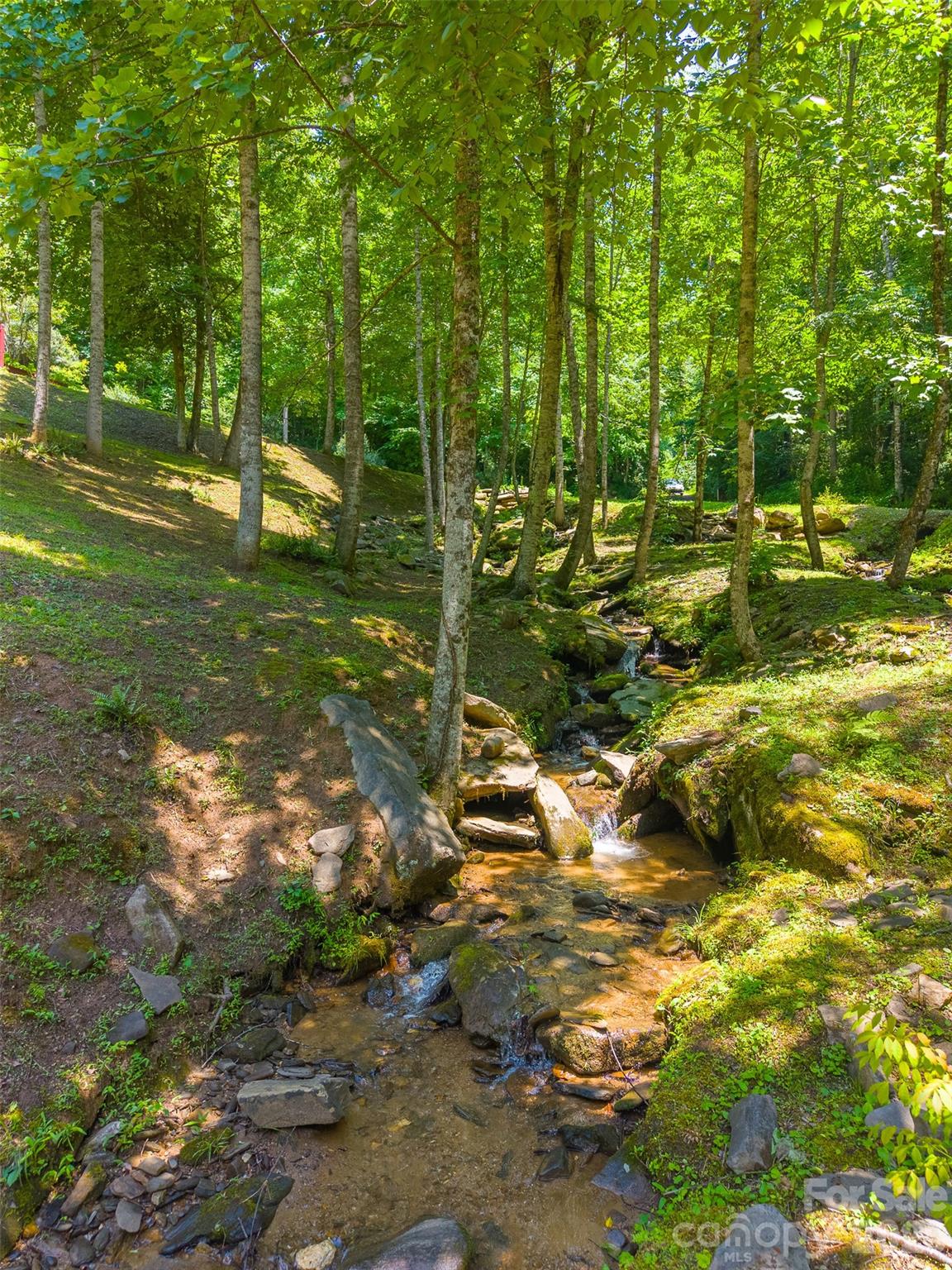 77 Pigeon Creek Road Bryson City, NC 28713 - Photo 41 of 47