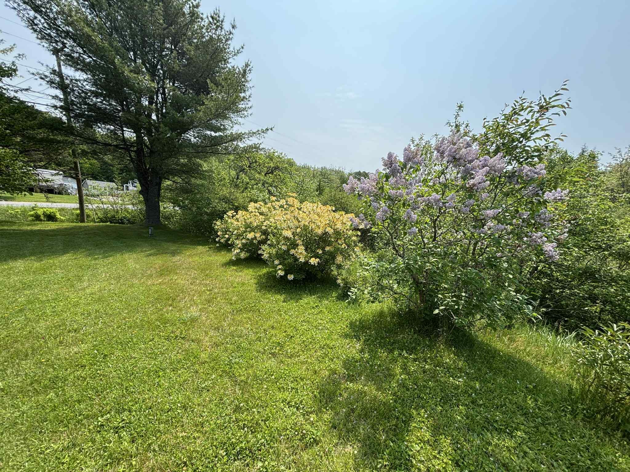 173 Kennebec Road Machias, ME 04654 - Photo 29 of 33 mature landscaping