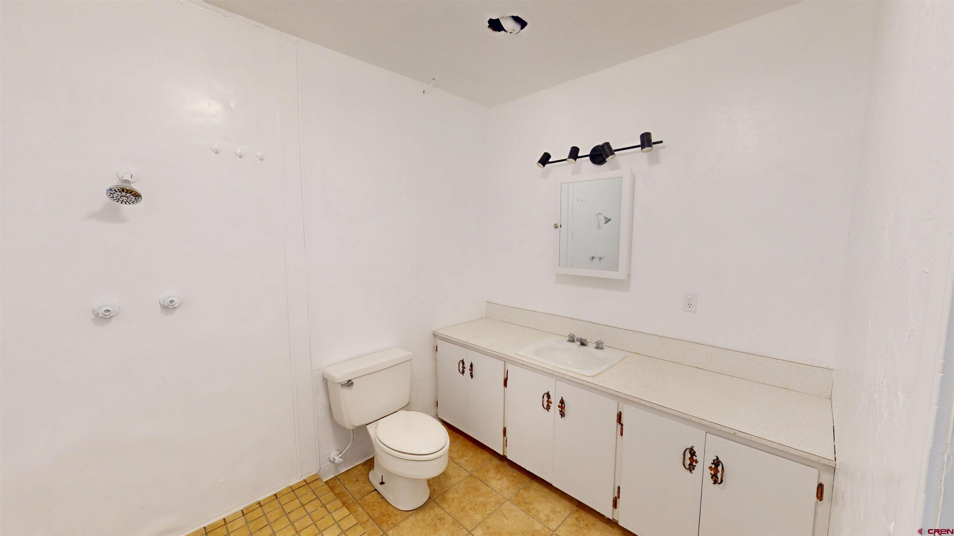 25615 Starner Loop Road Cedaredge, CO 81413 - Photo 29 of 42 a bathroom with a sink a toilet and a mirror