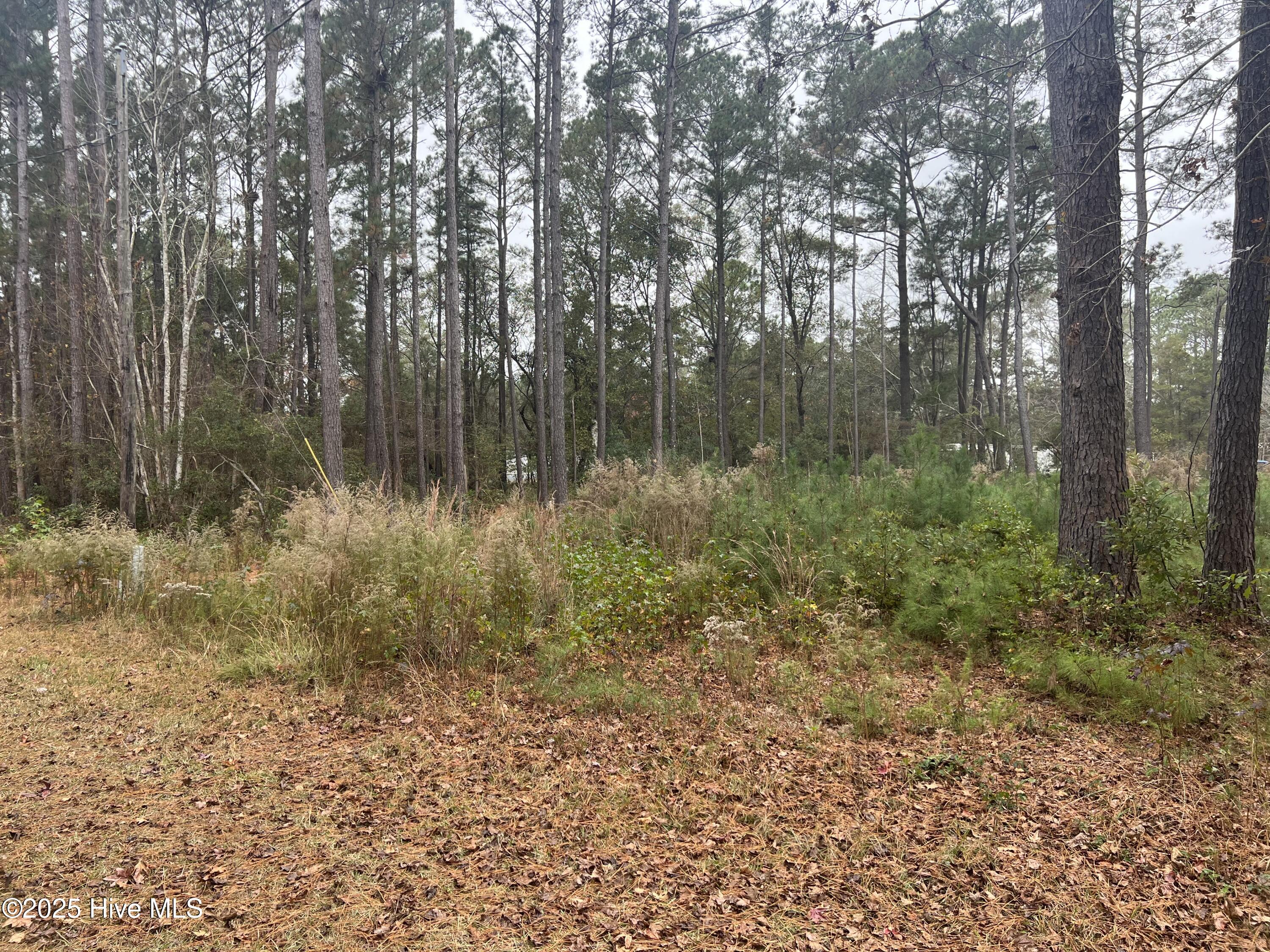 2129 Poplar Road Southwest Supply, NC 28462 - Photo 4 of 10 SUPPLY NC