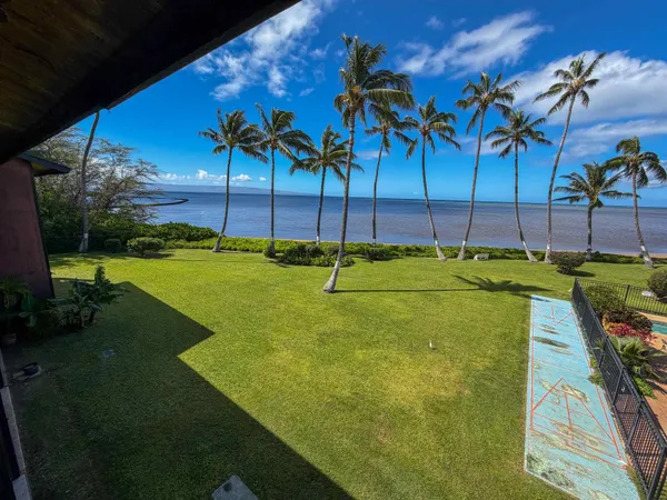a view of a swimming pool with a yard