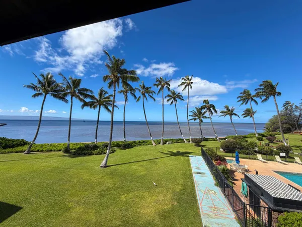 a view of a swimming pool with a yard and palm trees
