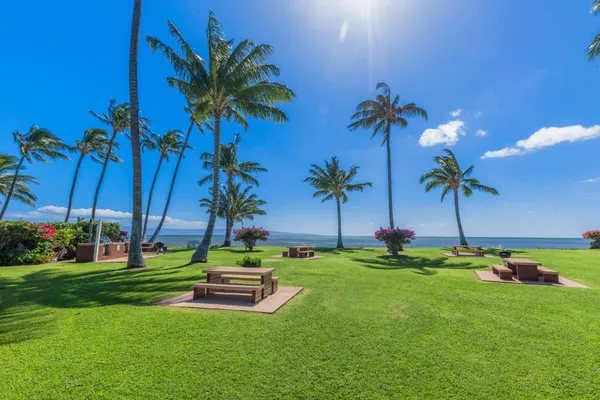 a garden with trees in front of it