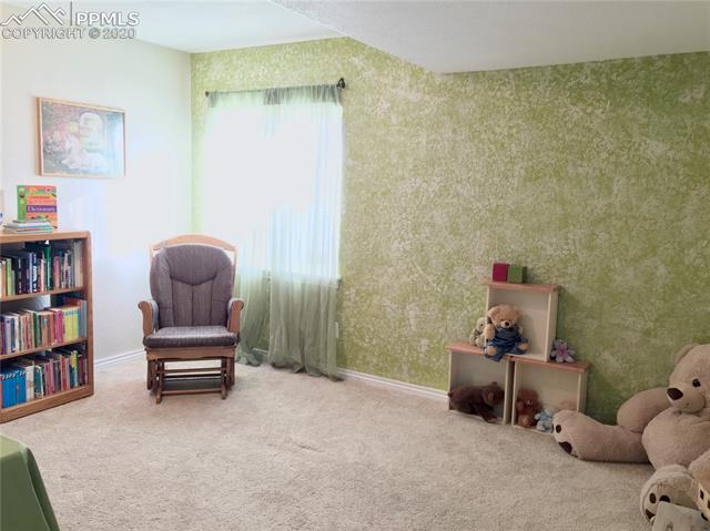 9275 Rockingham Drive Peyton, CO 80831 - Photo 17 of 26 Basement Bedroom.