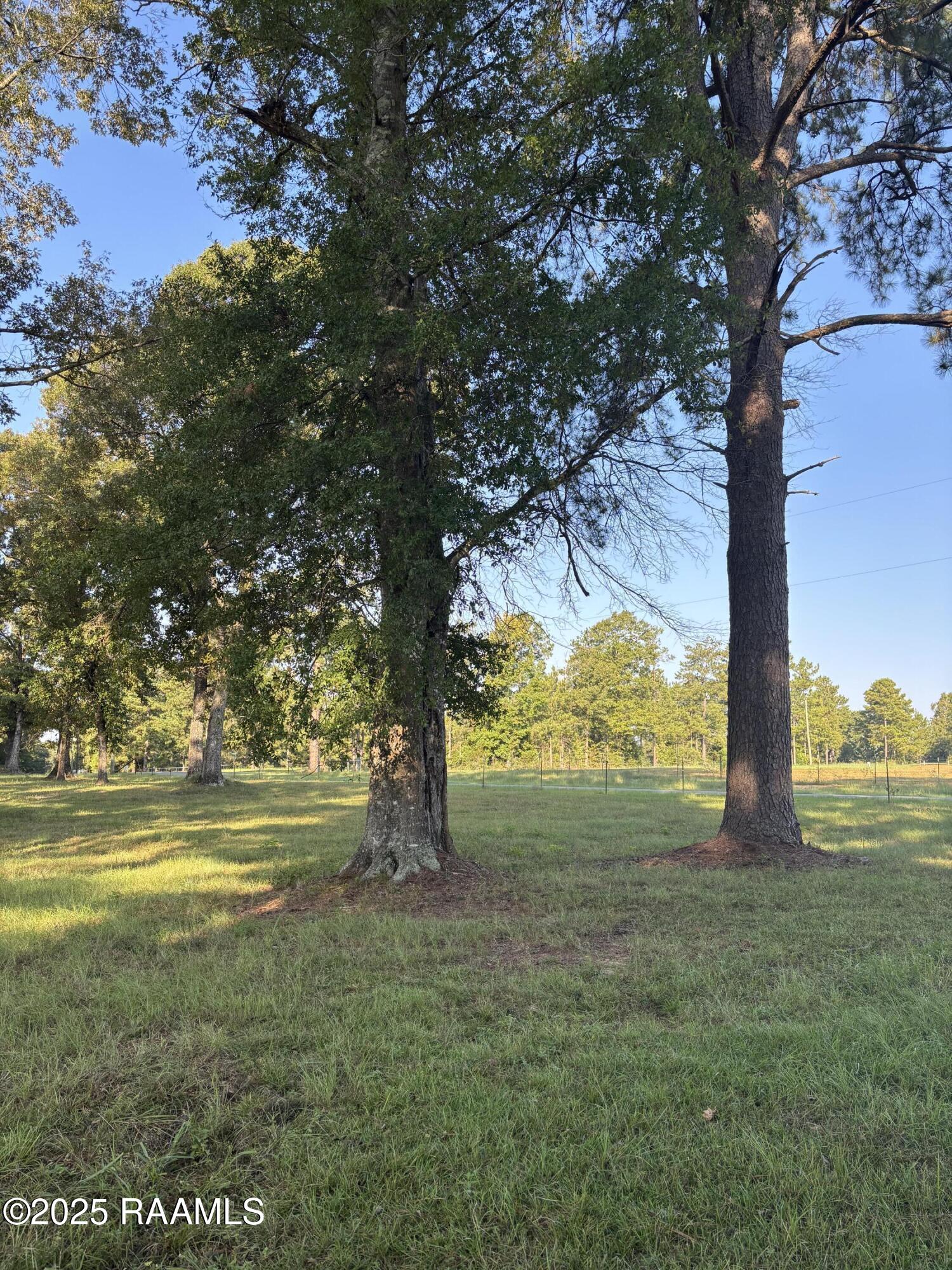 399 Ahtus Melder Road Forest Hill, LA 71430 - Photo 12 of 19