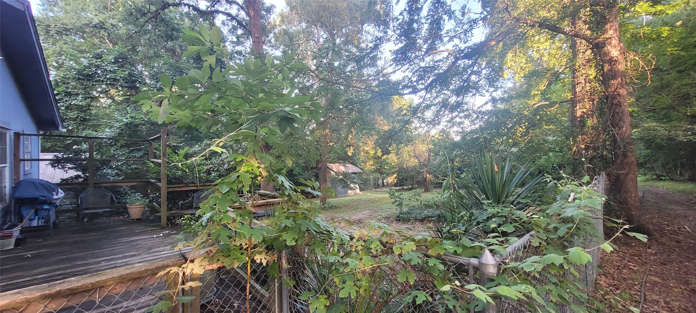 20 Connor Lane Huntsville, TX 77320 - Photo 33 of 41