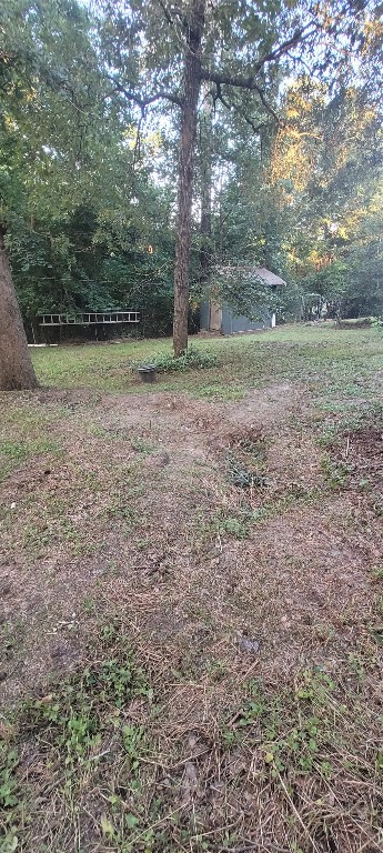 20 Connor Lane Huntsville, TX 77320 - Photo 35 of 41 a view of a field with trees in the background
