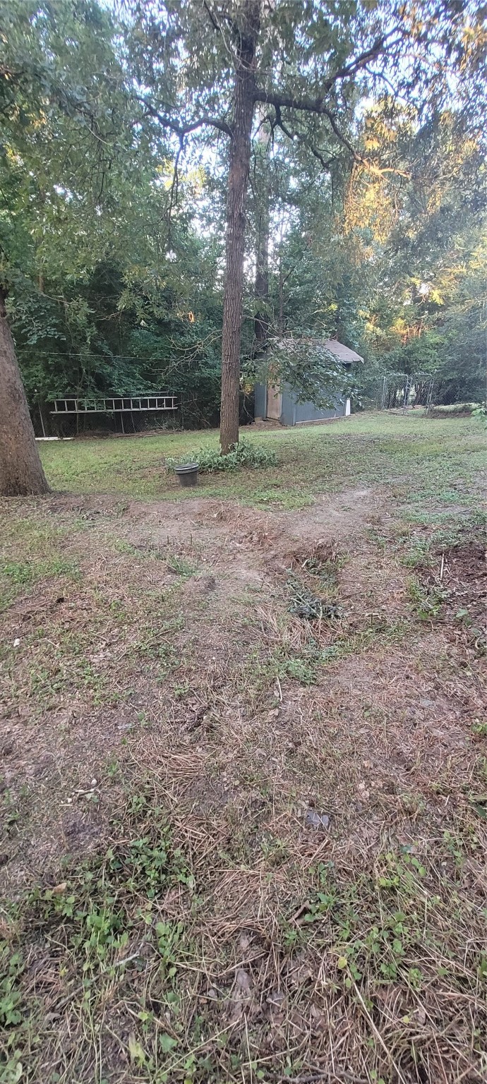 20 Connor Lane Huntsville, TX 77320 - Photo 35 of 41