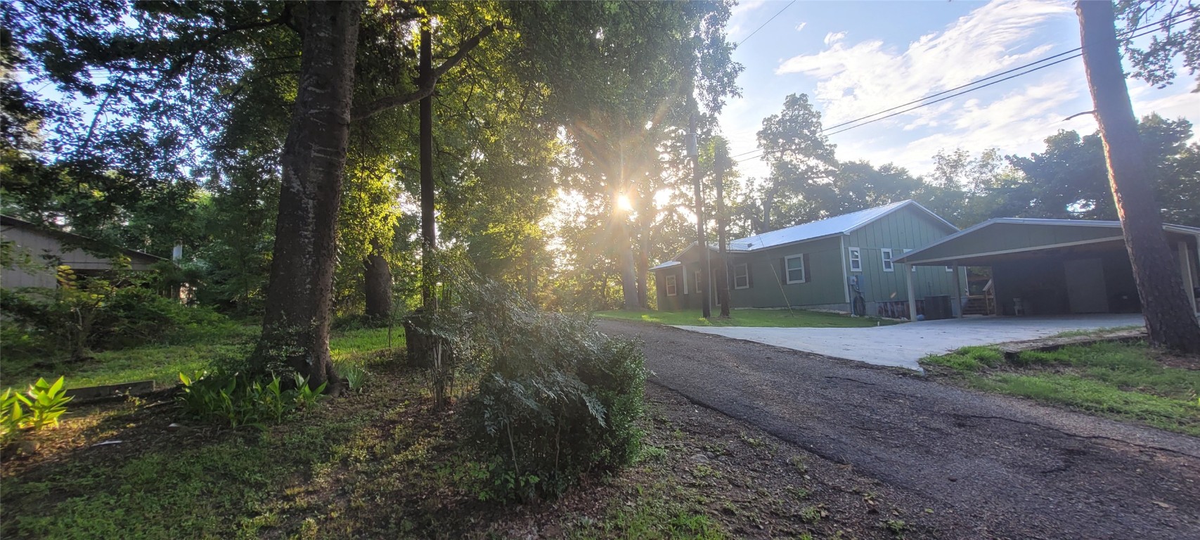 20 Connor Lane Huntsville, TX 77320 - Photo 41 of 41 a view of a yard with plants and a large tree