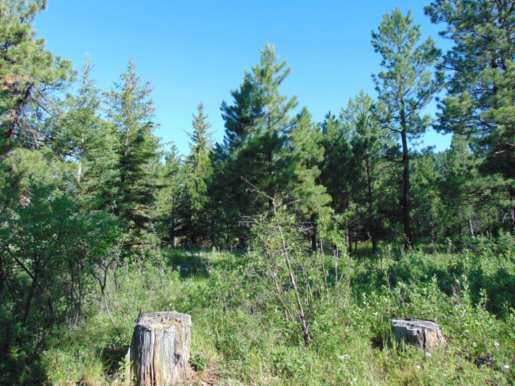 4615 Abe Lincoln Road Lincoln, MT 59639 - Photo 18 of 92 Gallery Image 18