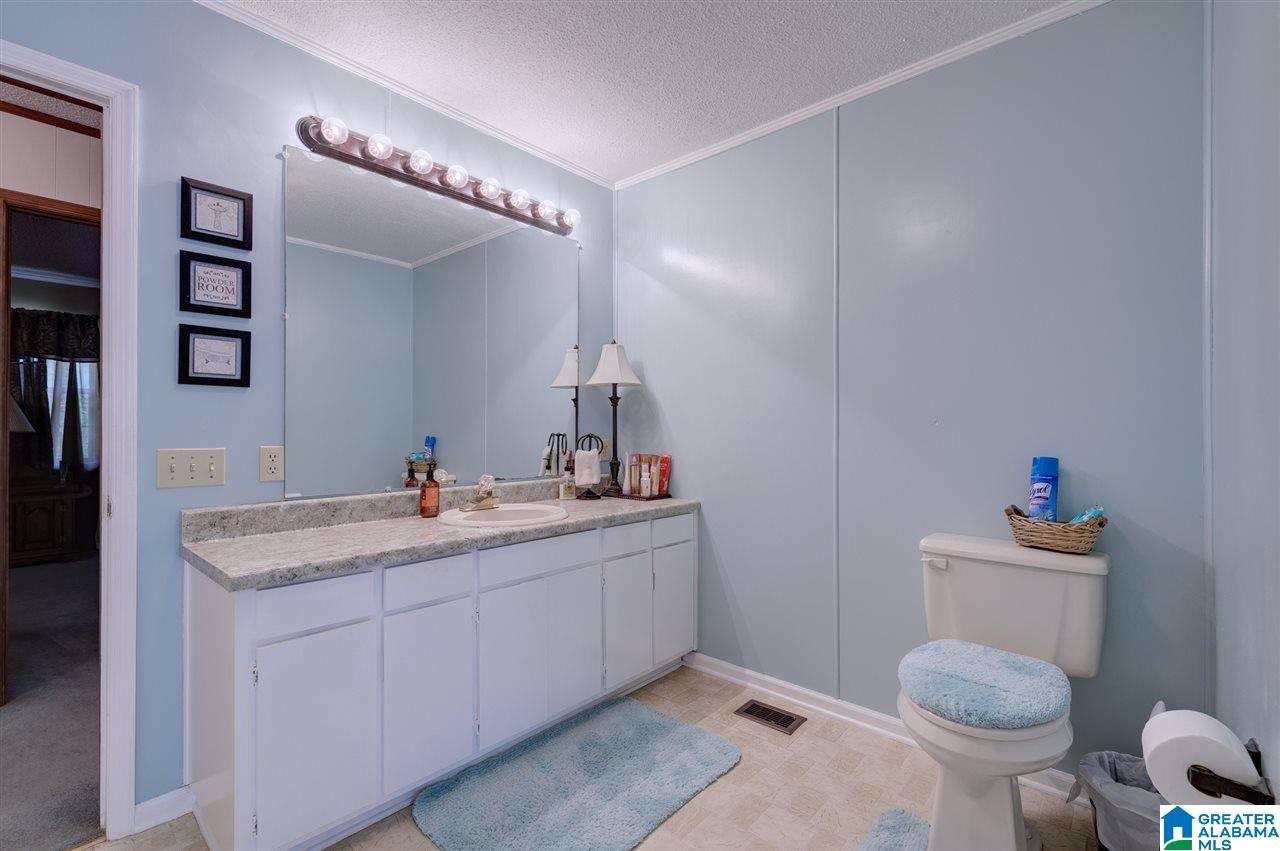 1181 Joy Road Hayden, AL 35079 - Photo 11 of 44