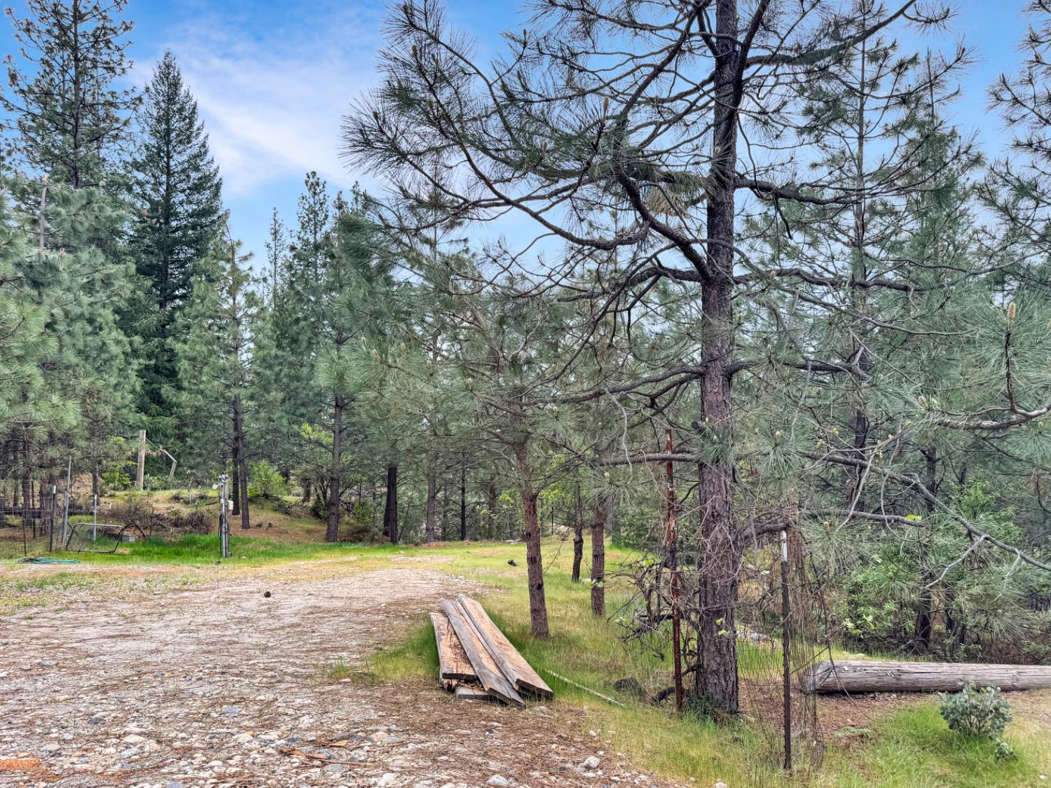 12957 Sailor Flat Road Nevada City, CA 95959 - Photo 20 of 34