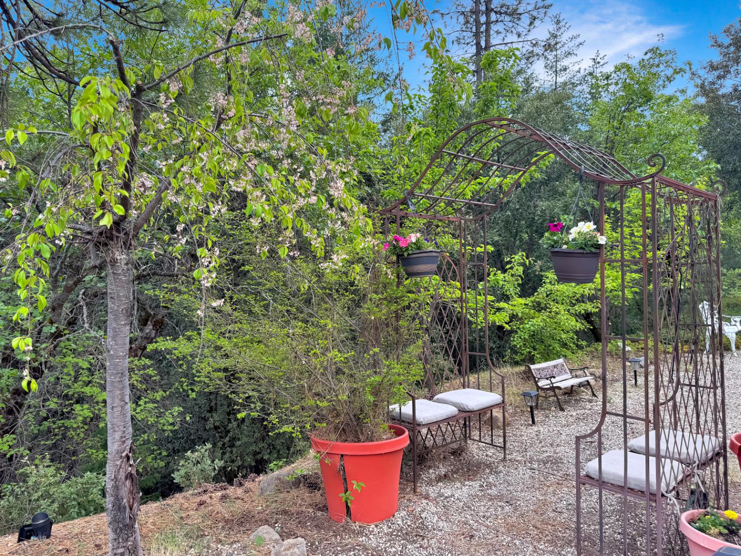 12957 Sailor Flat Road Nevada City, CA 95959 - Photo 21 of 34