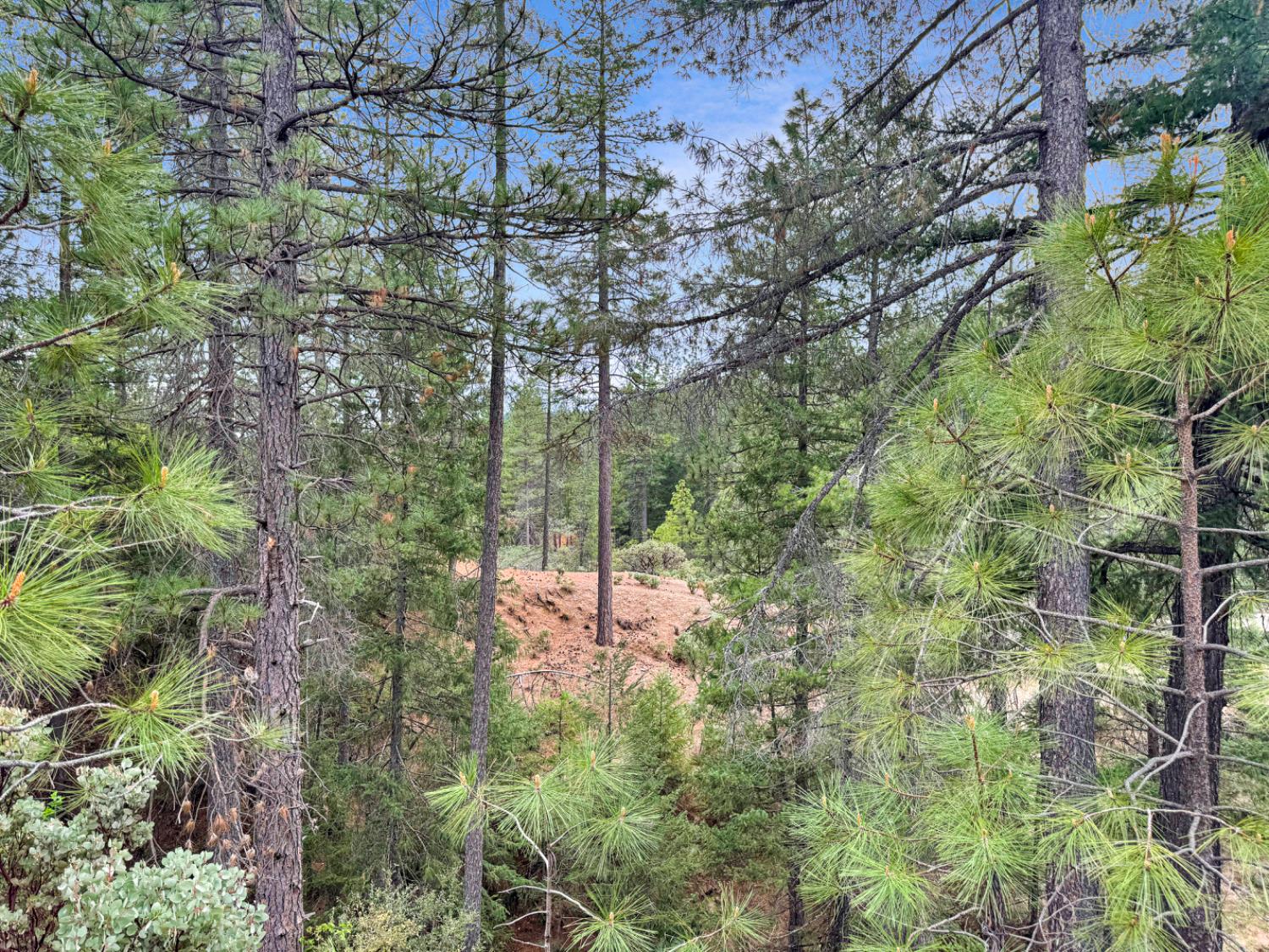 12957 Sailor Flat Road Nevada City, CA 95959 - Photo 24 of 34