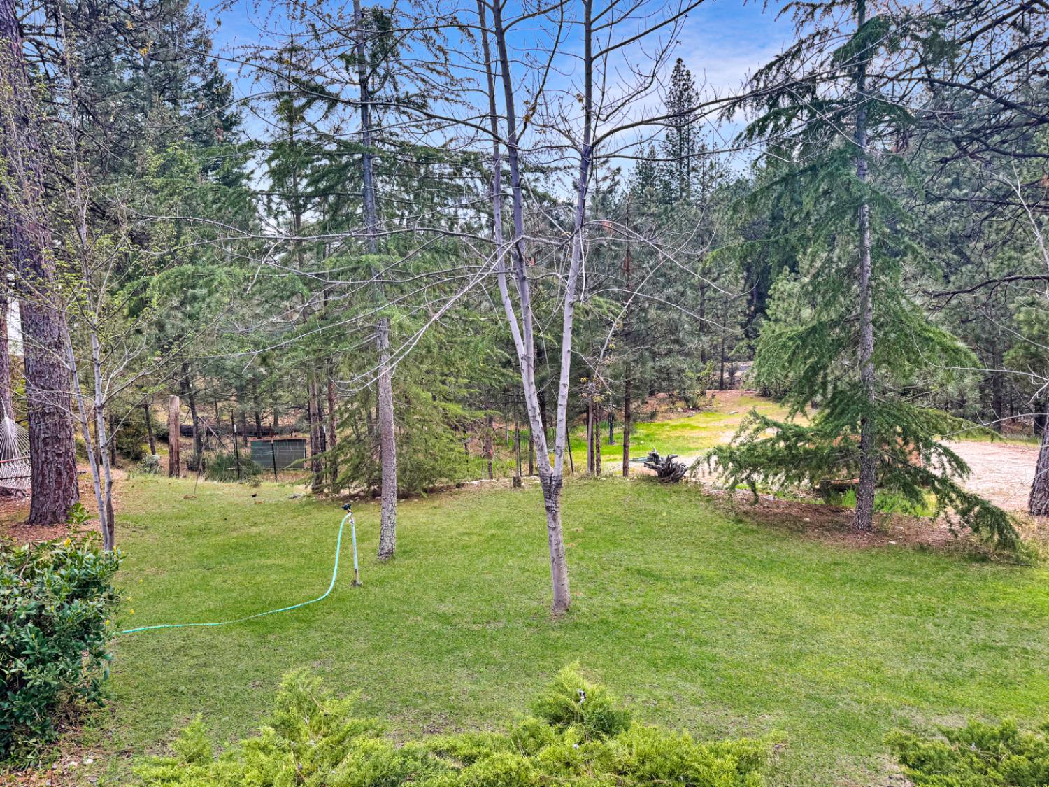 12957 Sailor Flat Road Nevada City, CA 95959 - Photo 3 of 34