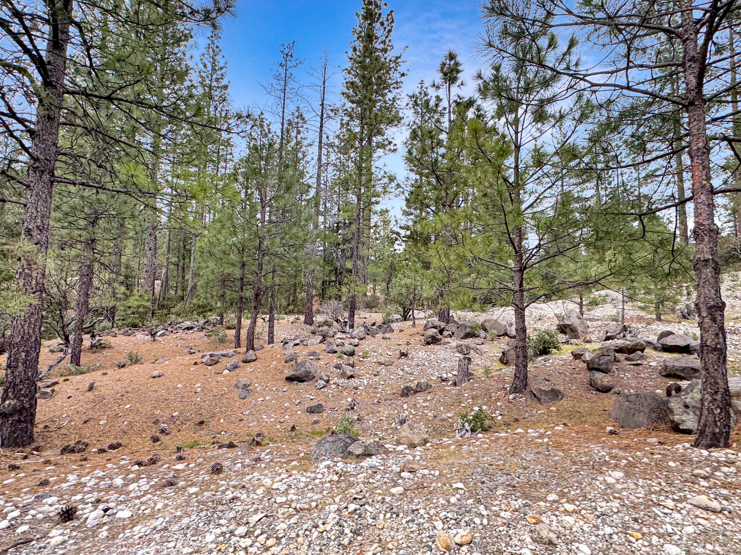 12957 Sailor Flat Road Nevada City, CA 95959 - Photo 4 of 34