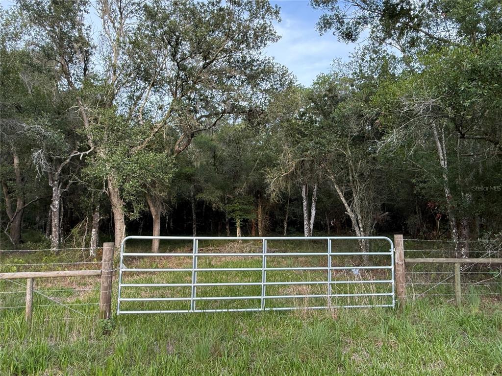 Southeast Brown Road Arcadia, FL 34266 - Photo 2 of 18 a view of a park with a large trees