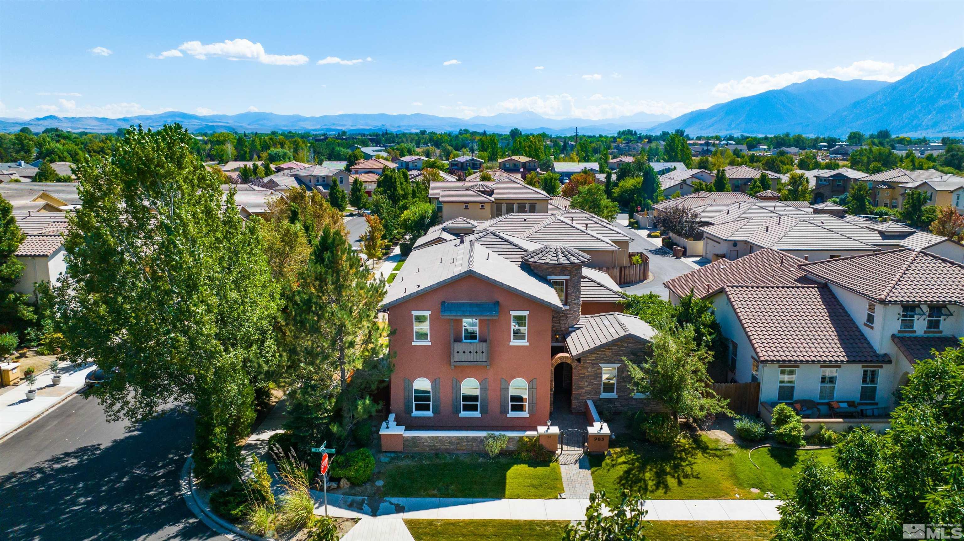 985 Bella Monte Drive Minden, NV 89423 - Photo 3 of 37