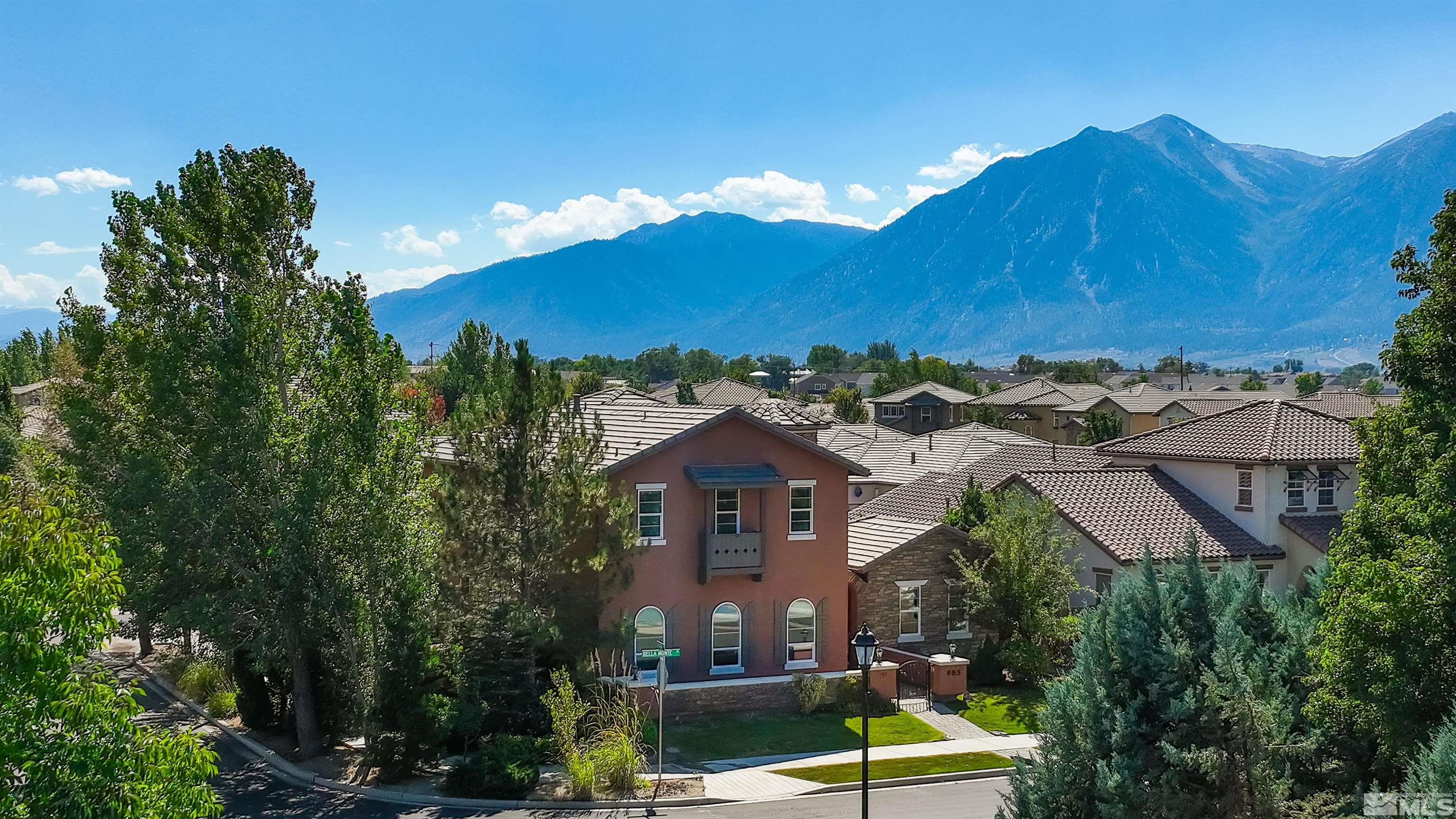 985 Bella Monte Drive Minden, NV 89423 - Photo 5 of 37 a view of houses with an outdoor space and street view