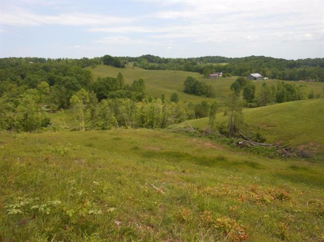 563 Keeton Lake Road Wellington, KY 40387 - Photo 12 of 76 Photo 12