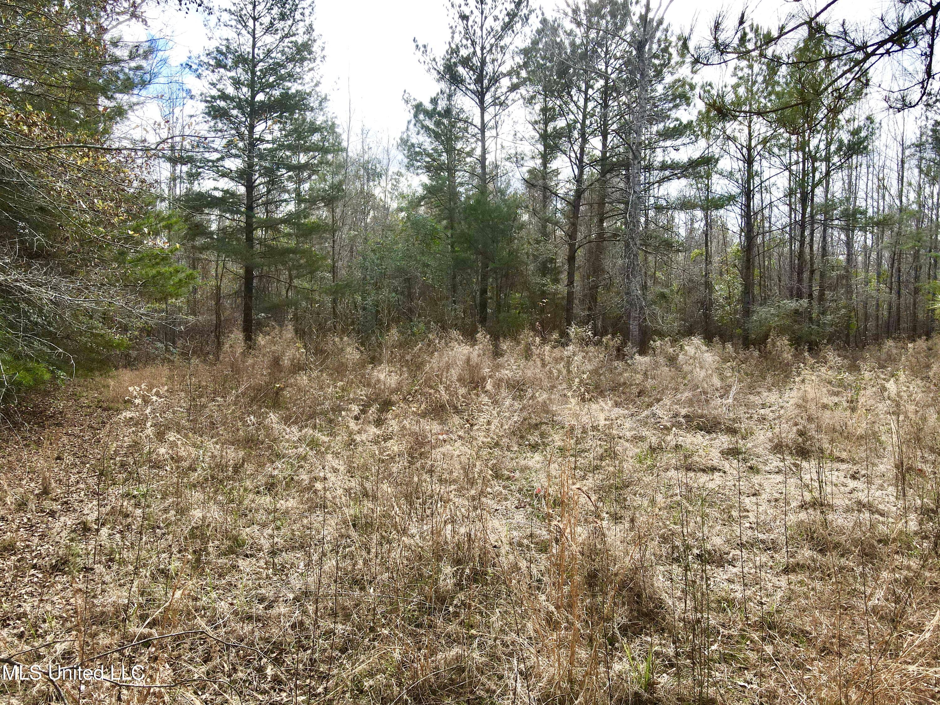 Pea Ridge Road Florence, MS 39073 - Photo 8 of 24 Photo Jan 15 2025, 1 50 22 PM