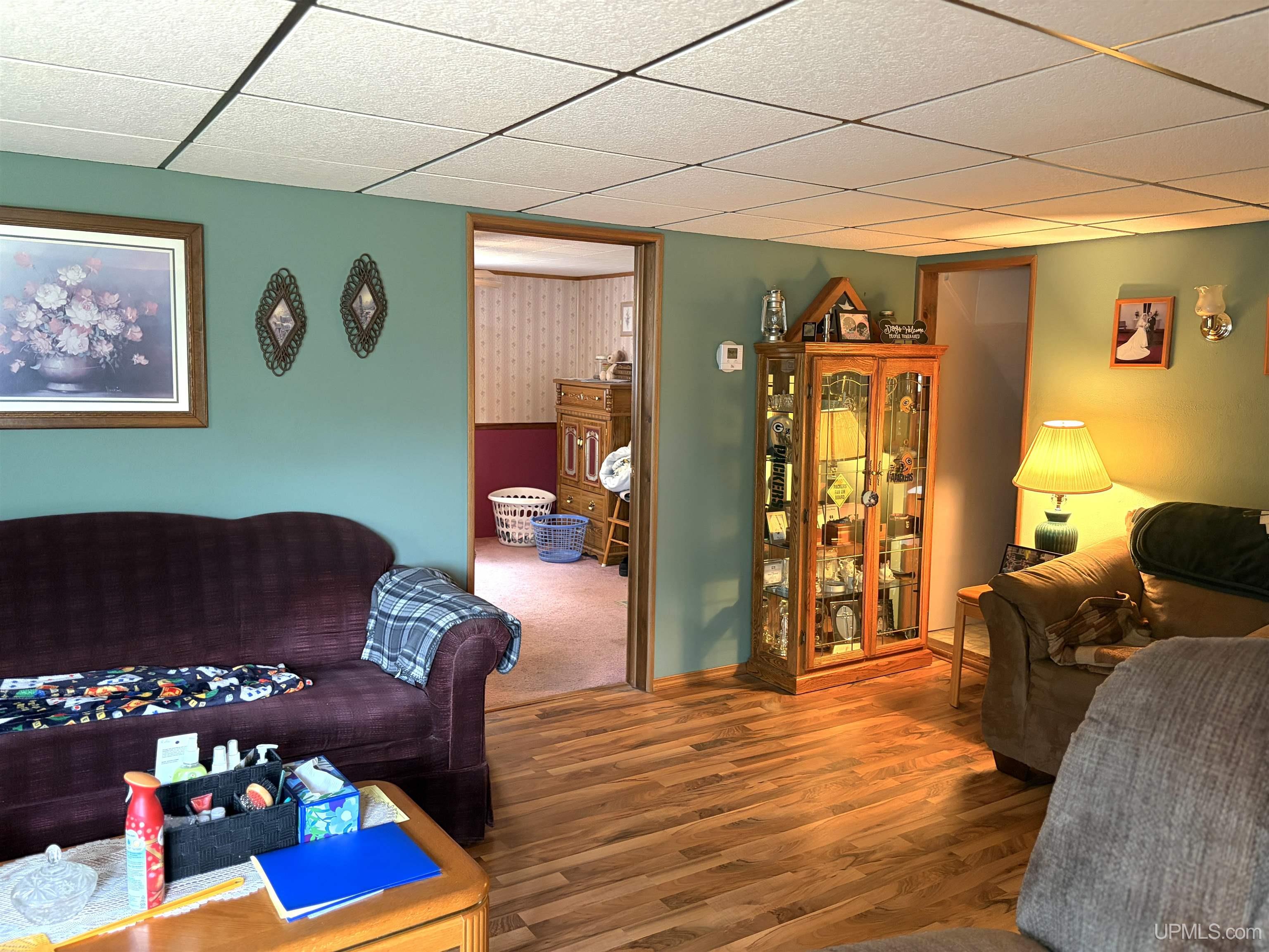 518 East Ridge Street Ishpeming, MI 49849 - Photo 28 of 47