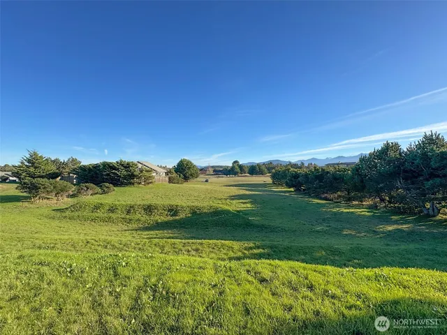 a view of a backyard of the house