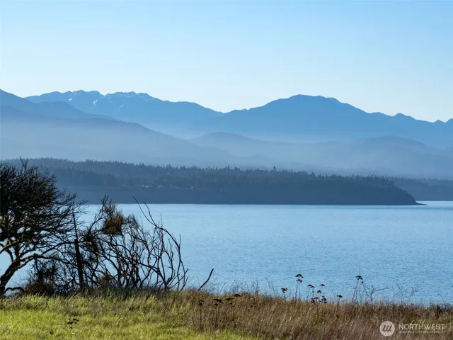 a view of a lake with a big yard