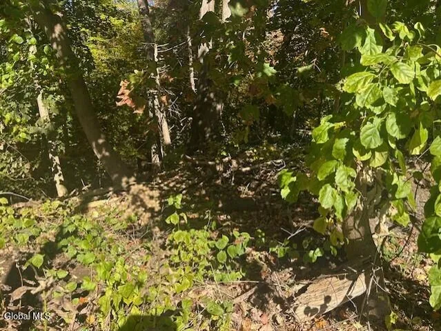 $44,900 | L12 Jane Drive, Schenectady, NY 12302