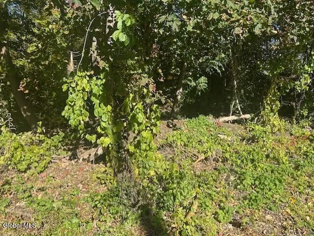 $44,900 | L12 Jane Drive, Schenectady, NY 12302