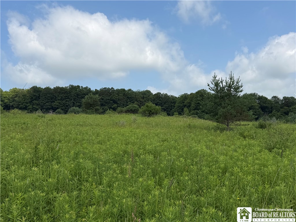 2751 Canfield Road Cohocton, NY 14826 - Photo 11 of 50