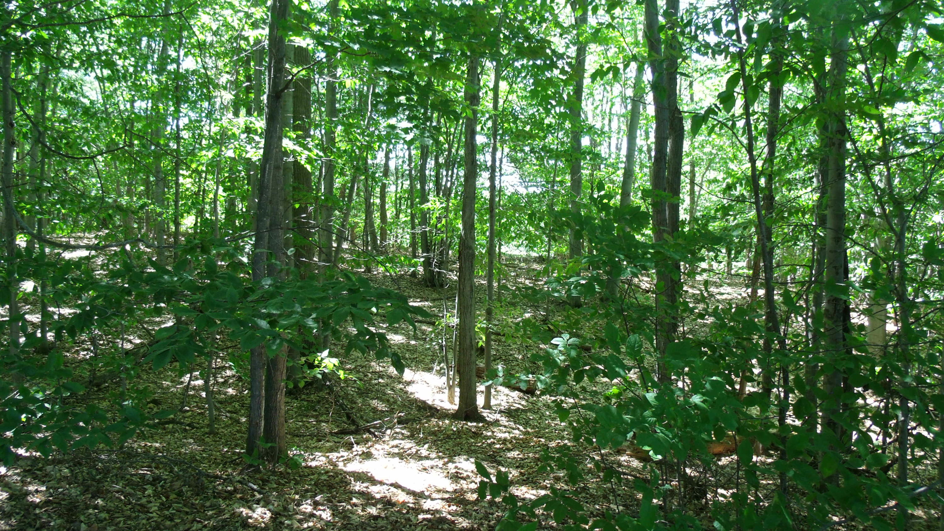 7075 White Road Indian River, MI 49749 - Photo 46 of 71 Gallery Image 46