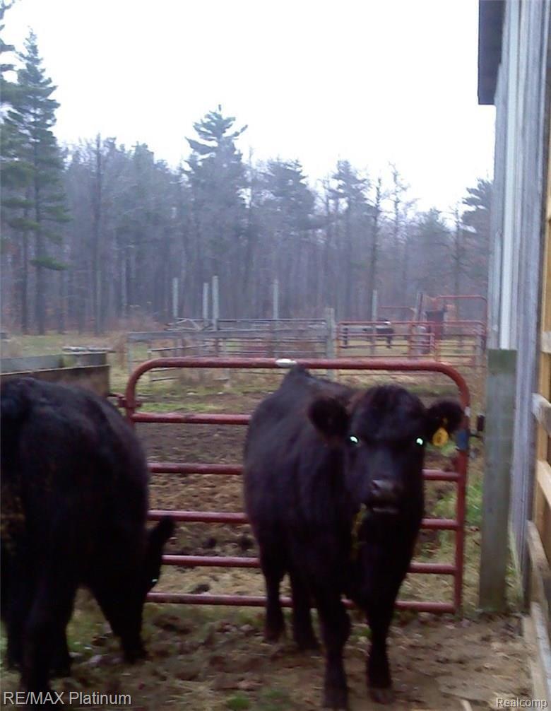 14416 Tuscola Road Clio, MI 48420 - Photo 77 of 85 FullSizeRender(1).jpg