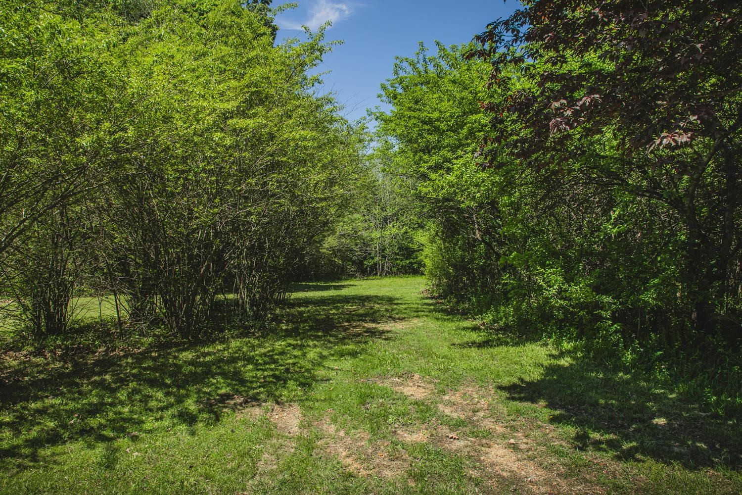 0 Gardiner Road Dresden, TN 38225 - Photo 4 of 27 Photo 4