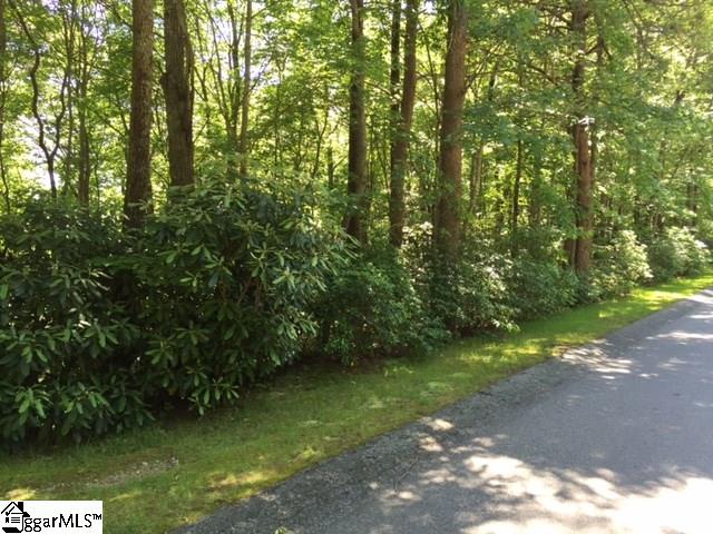 173 Cliff Ridge Drive Cleveland, SC 29635 - Photo 1 of 15