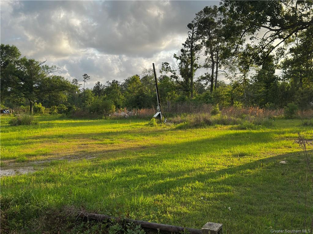 100 Hereford Drive Ragley, LA 70657 - Photo 2 of 9