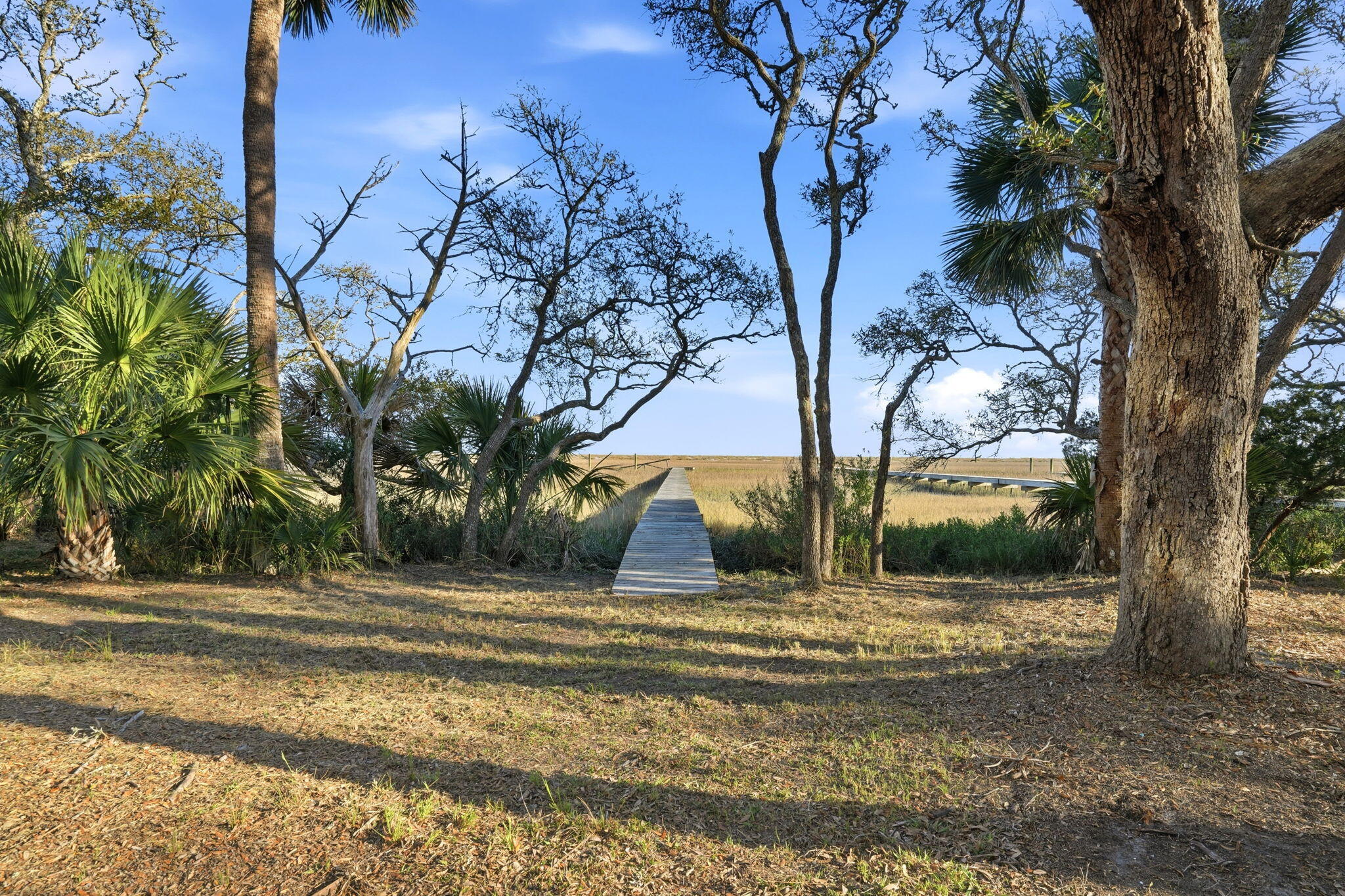 0 Hammocks Way Edisto Island, SC 29438 - Photo 10 of 40 53-web-or-mls-060_DSC06811