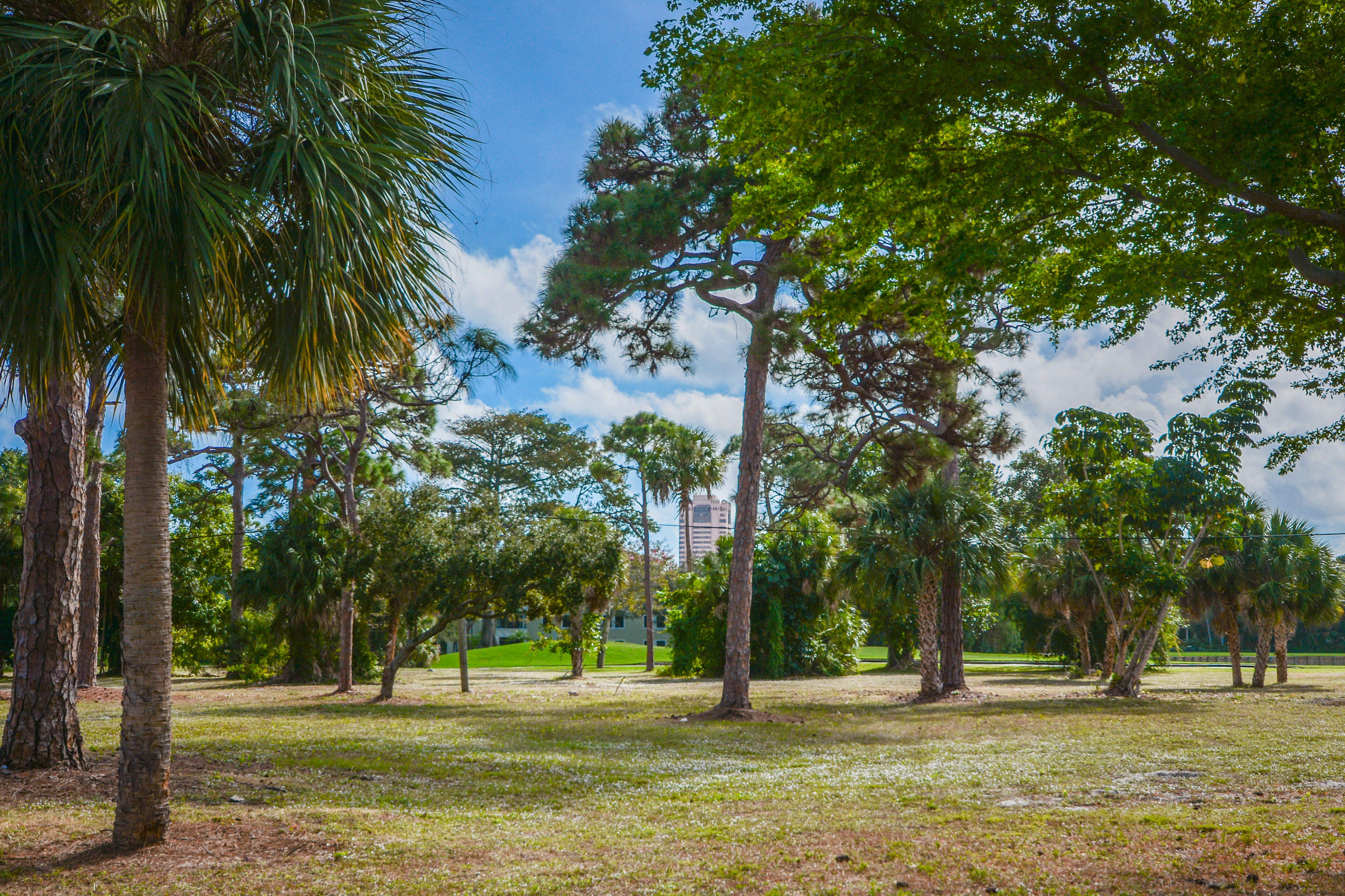421 East Royal Palm Road Boca Raton, FL 33432 - Photo 39 of 39 421 E Royal Palm Rd Boca Raton-print-048