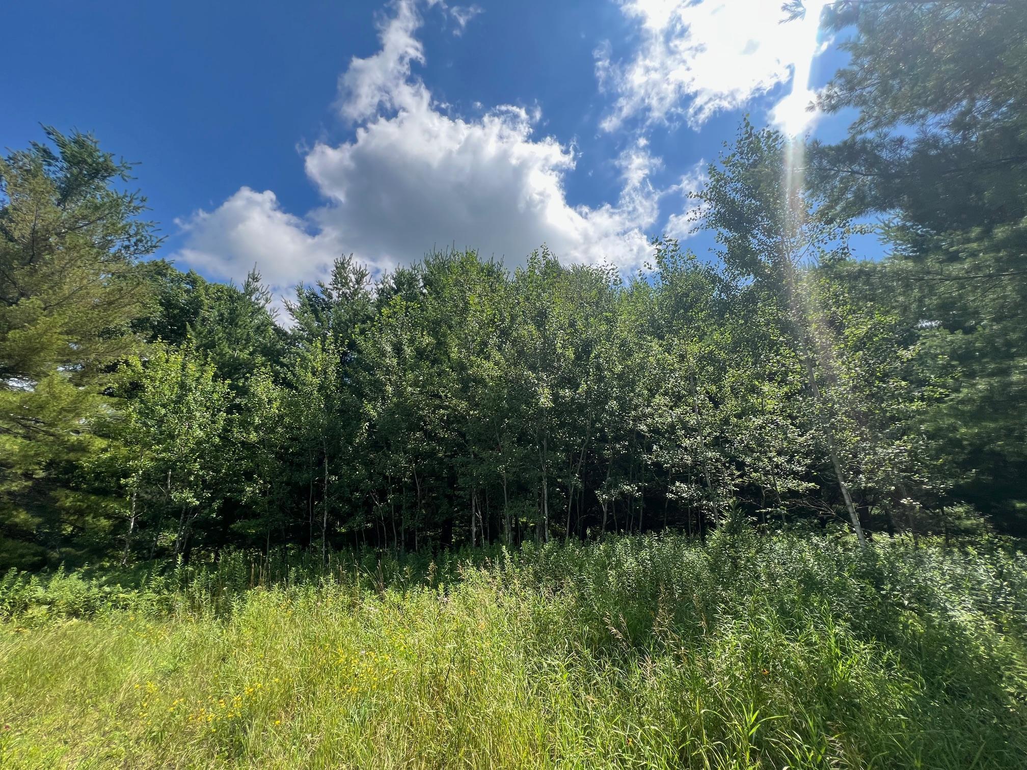 Xxxxx Lily Lake Inn Road Webster, WI 54893 - Photo 12 of 15