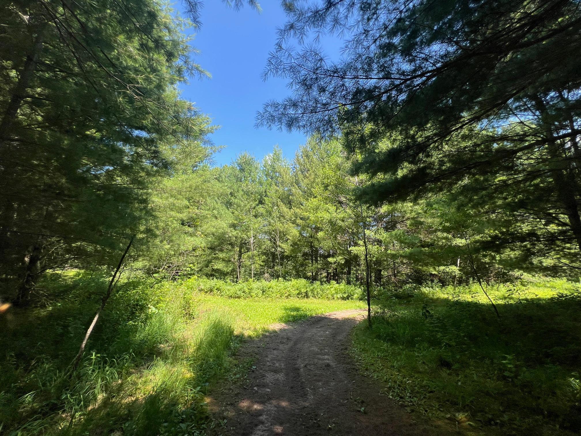 Xxxxx Lily Lake Inn Road Webster, WI 54893 - Photo 14 of 15