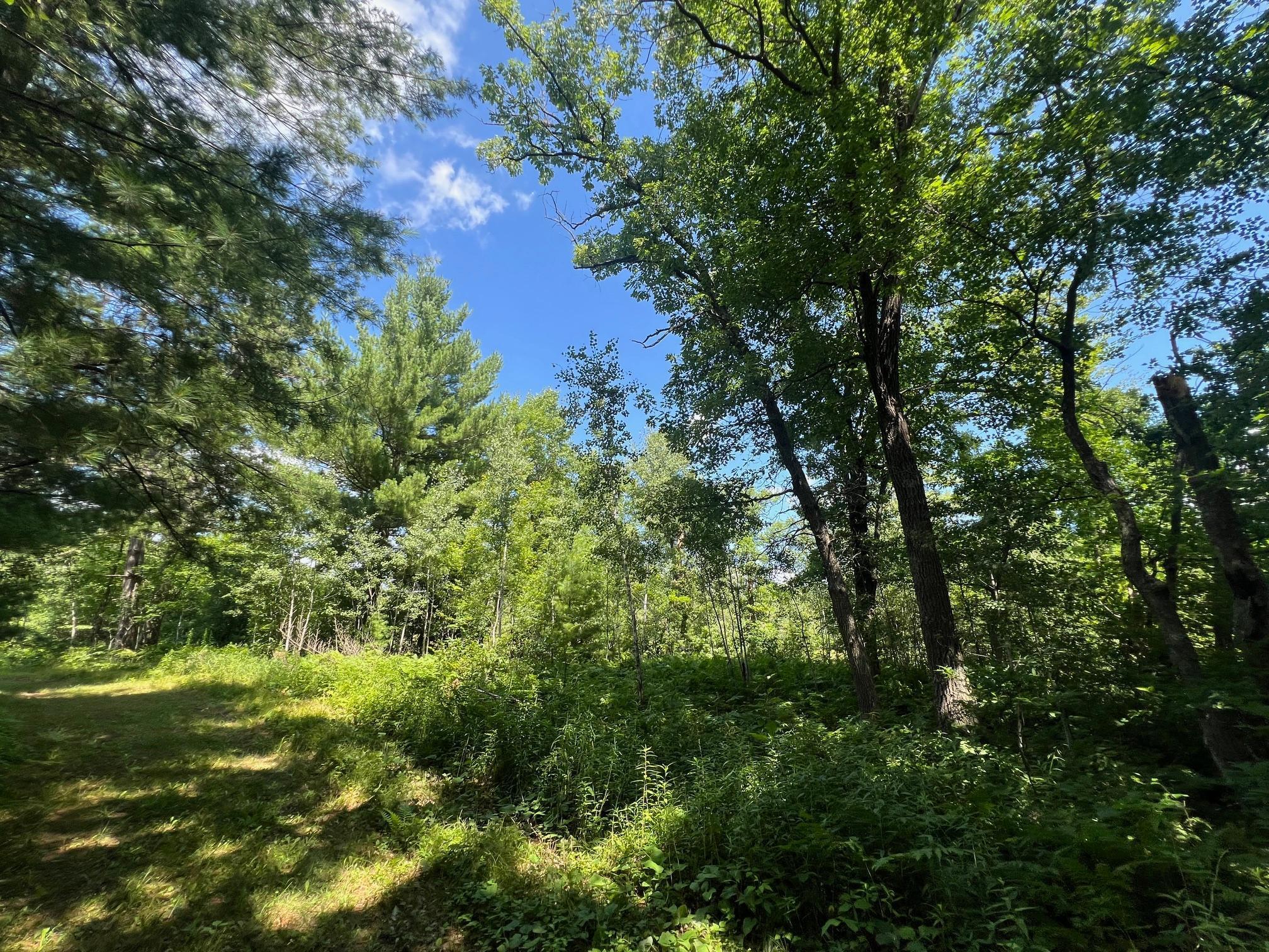 Xxxxx Lily Lake Inn Road Webster, WI 54893 - Photo 15 of 15