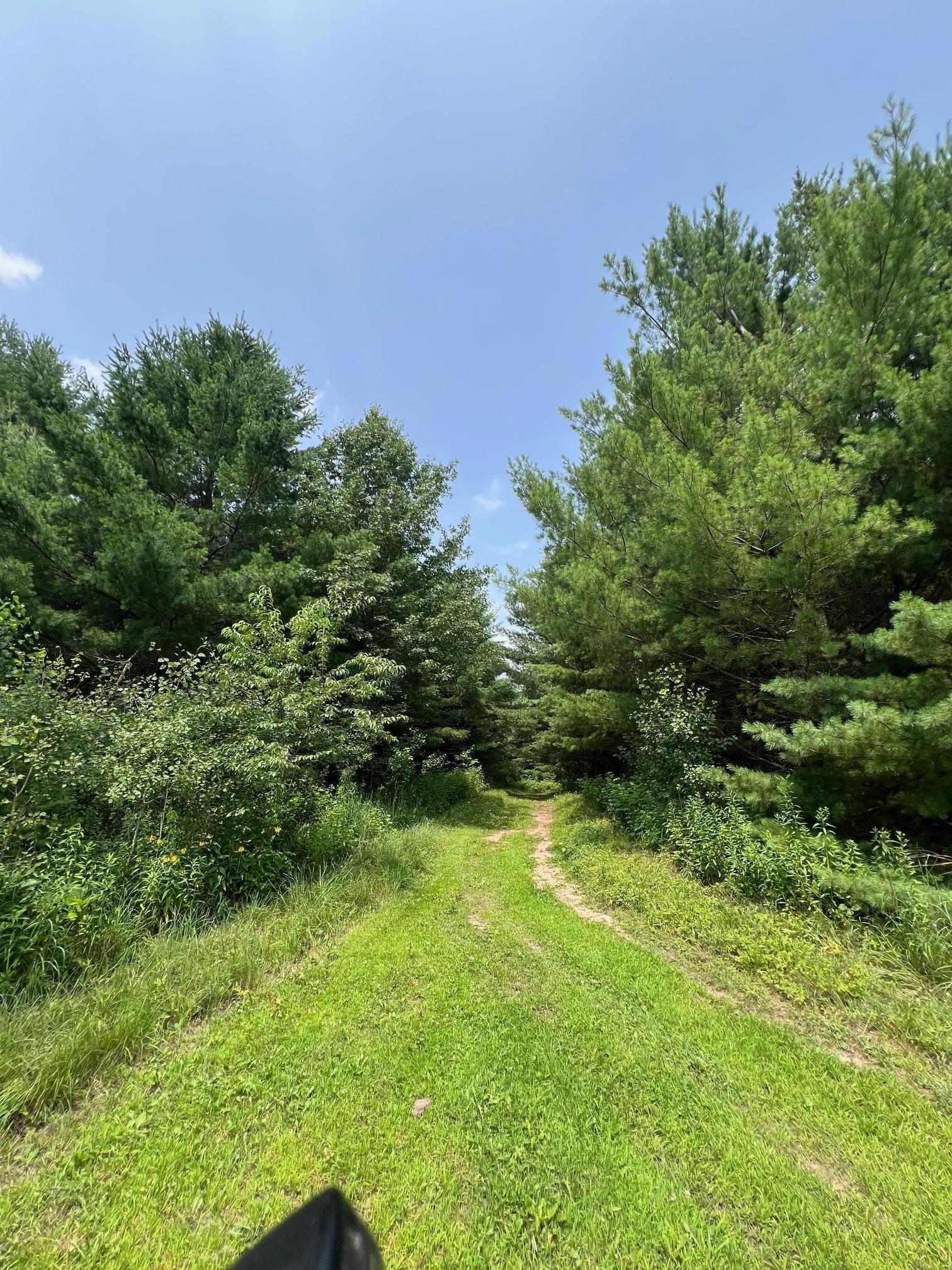 Xxxxx Lily Lake Inn Road Webster, WI 54893 - Photo 4 of 15